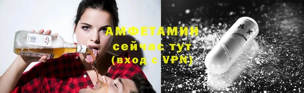 дживик Белокуриха
