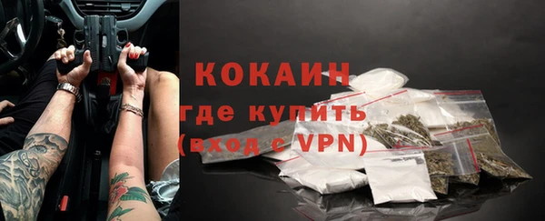 дживик Белокуриха