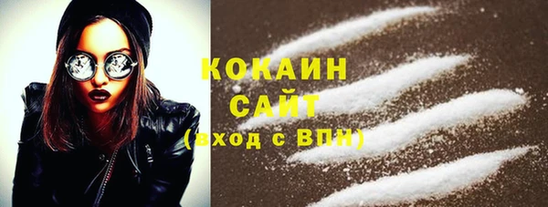 дживик Белокуриха